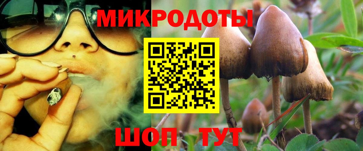 Балабаново  Псилоцибиновые грибы мухоморы  Вход с VPN 